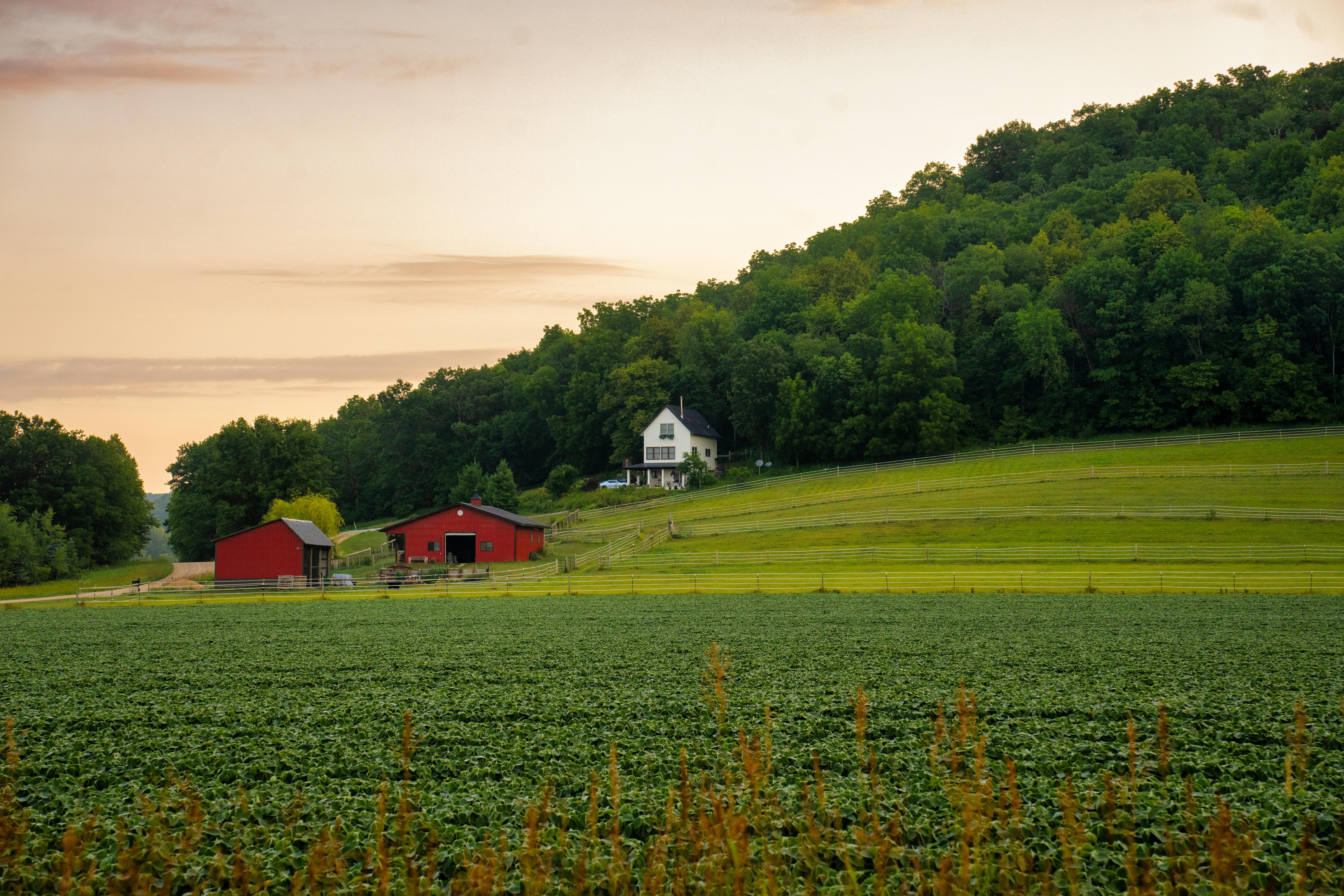 Red Barn