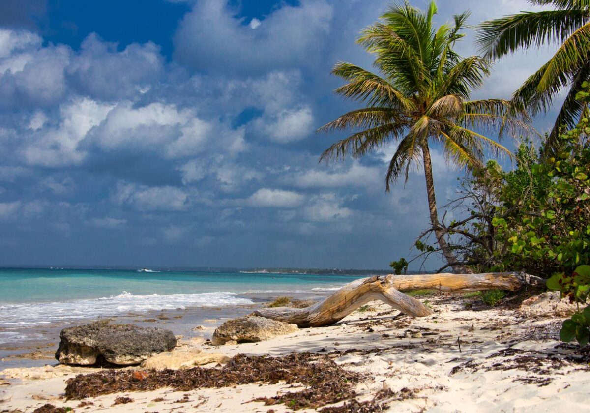Indigenous Caribbean history
