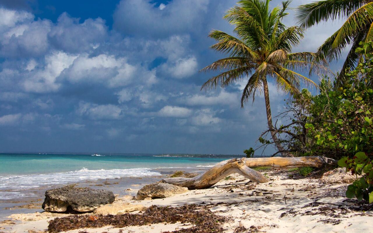 Indigenous Caribbean history
